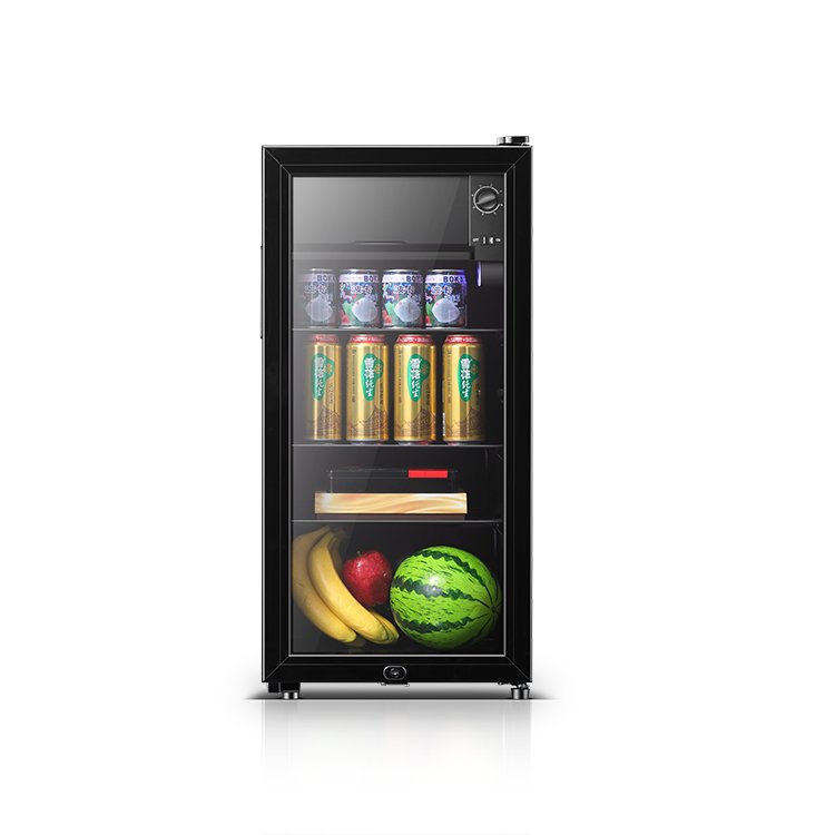 Wholesale 75H138 Best-selling Single-door Manual Defrosting Ice Cooler | Small-capacity Modern Style 220V/50Hz for Home Use - Image 3