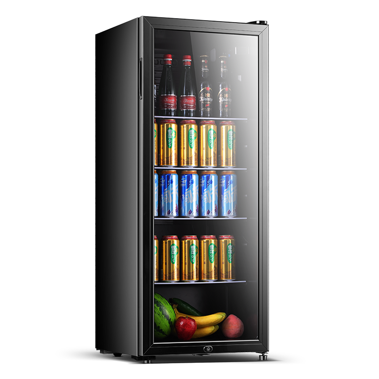 Manual Defrost 158L Glass Door Ice Cooler, 220V Freestanding - Image 3