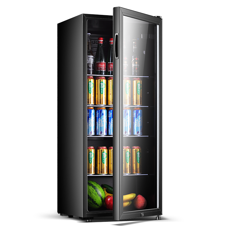 Manual Defrost 158L Glass Door Ice Cooler, 220V Freestanding - Image 4