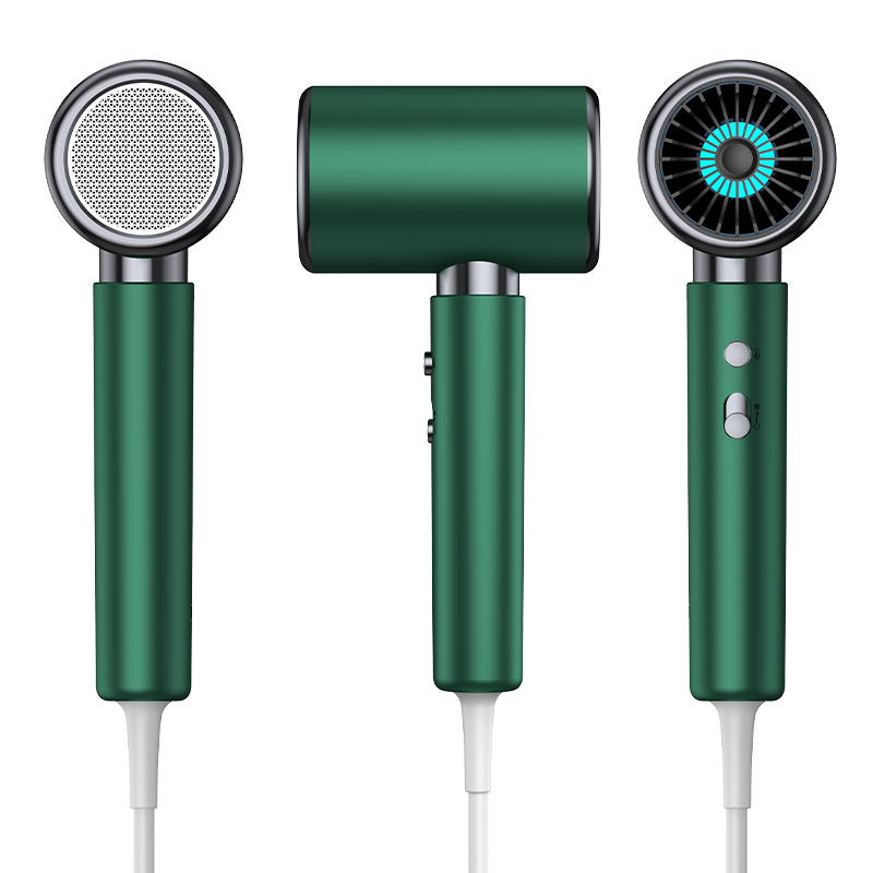 Portable Ionic Hair Dryer with 3 Nozzles, 1600W DC Motor for Salon & Travel